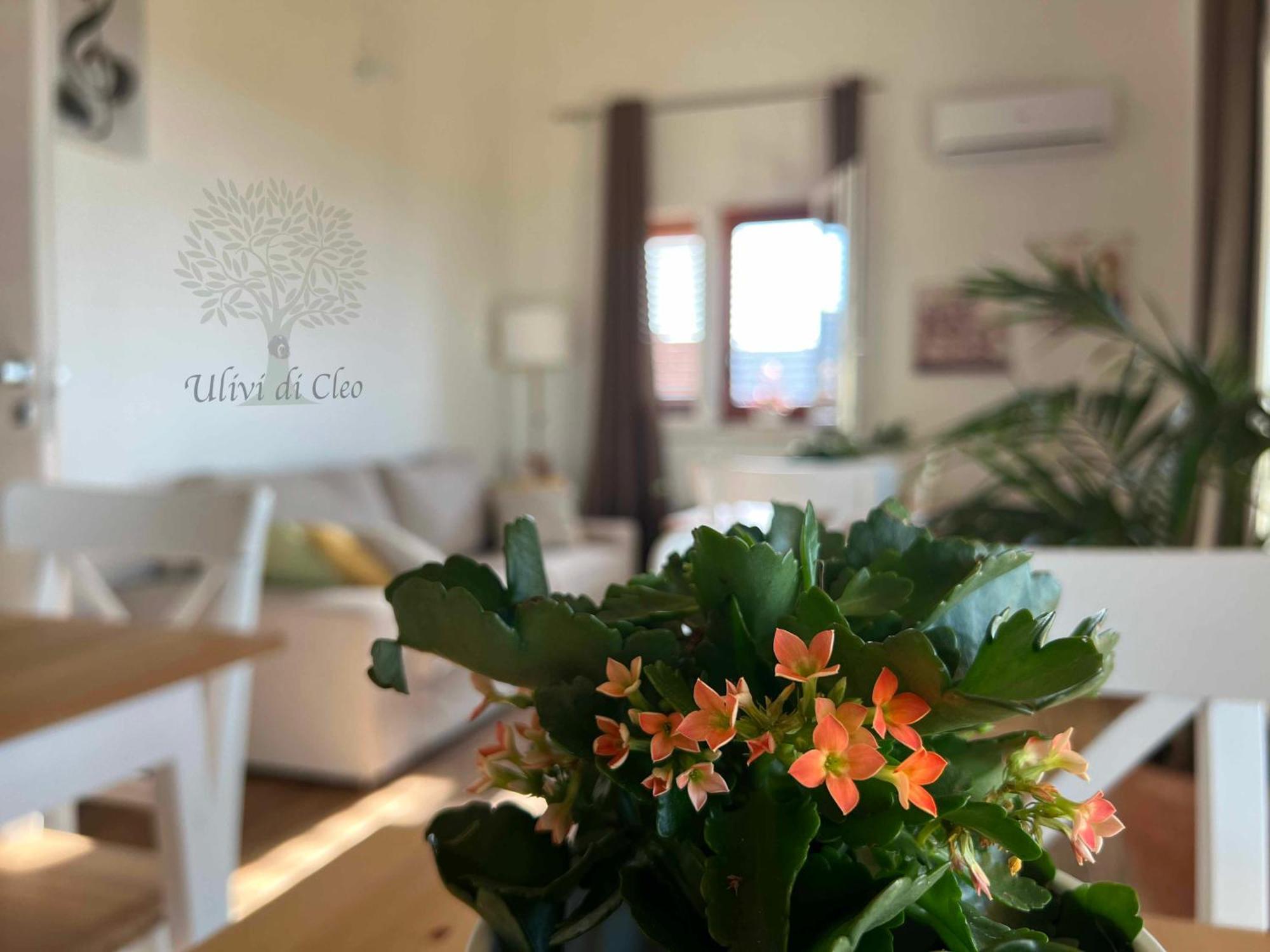 Ulivi Di Cleo Pensionat Realmonte Exteriör bild